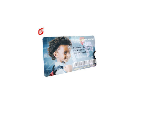 Zebra 800300-562 CN Жемчужная серебряная антифальшивка лента для принтера ZC300/ZC100