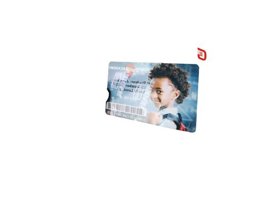 Zebra 800300-562 CN Жемчужная серебряная антифальшивка лента для принтера ZC300/ZC100