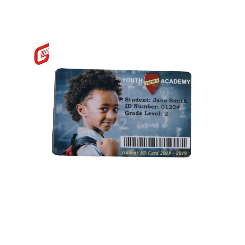 Zebra 800300-562 CN Жемчужная серебряная антифальшивка лента для принтера ZC300/ZC100